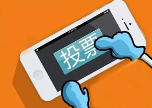 丽人投票